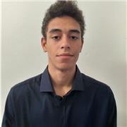 maturato, offro ripetizioni di letteratura italiana, storia, filosofia, matematica